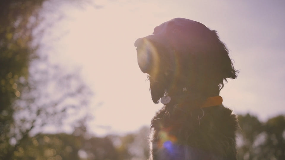 Video laden: 